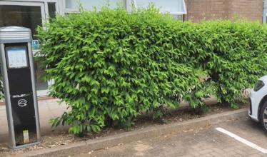 Wilmott Dixon to install workplace charging across all its sites