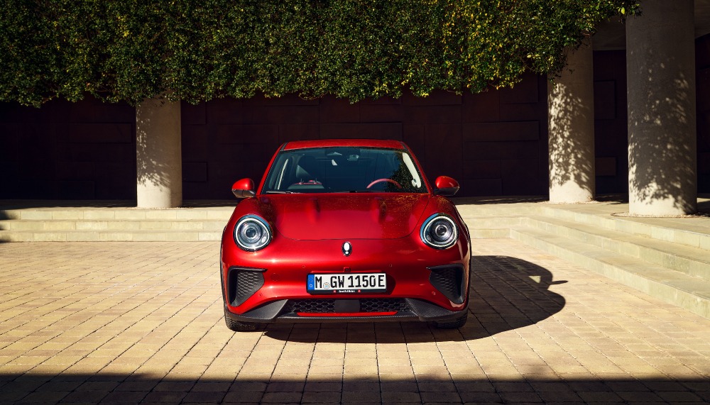 Red Funky Cat in front of leafy hedgerow