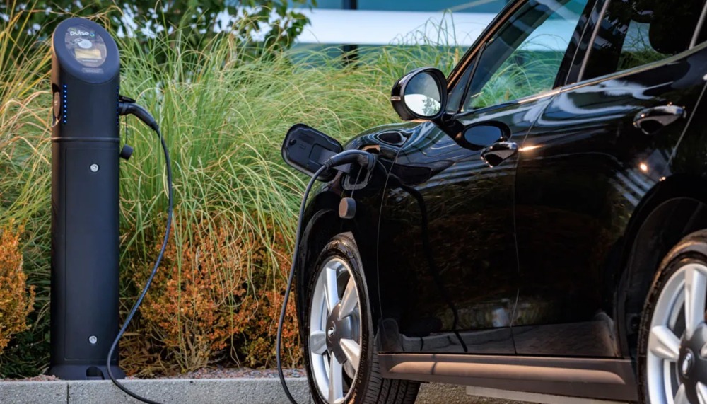 Black Funky Cat charging at bollard style charge point